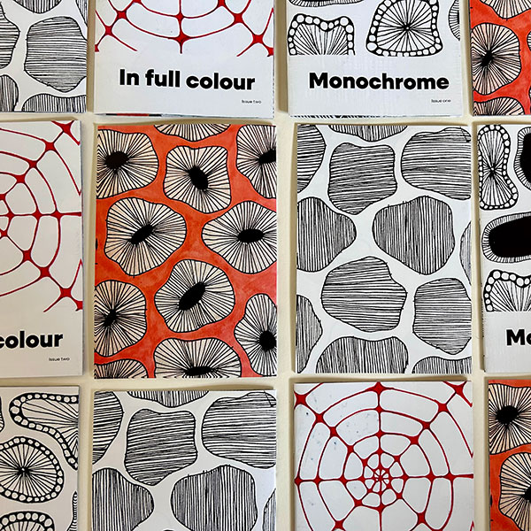 An arrangement of folding magazines containing monochrome and full colour artwork.