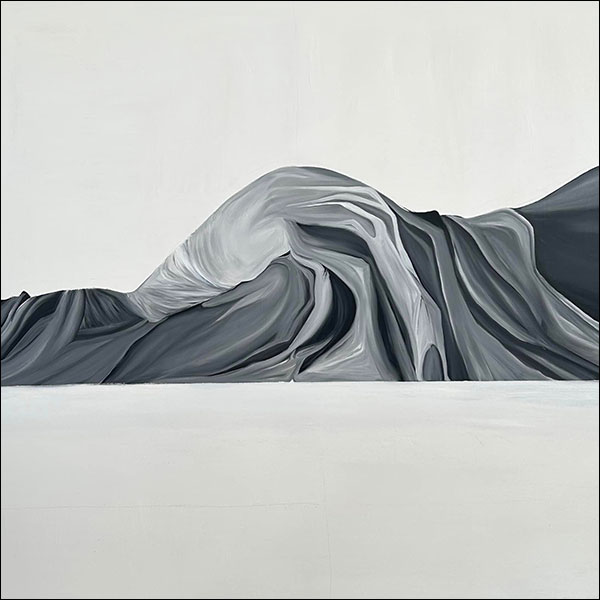 A shape resembling a figure lying sideways on a bed, comprised of wavy cloth textures