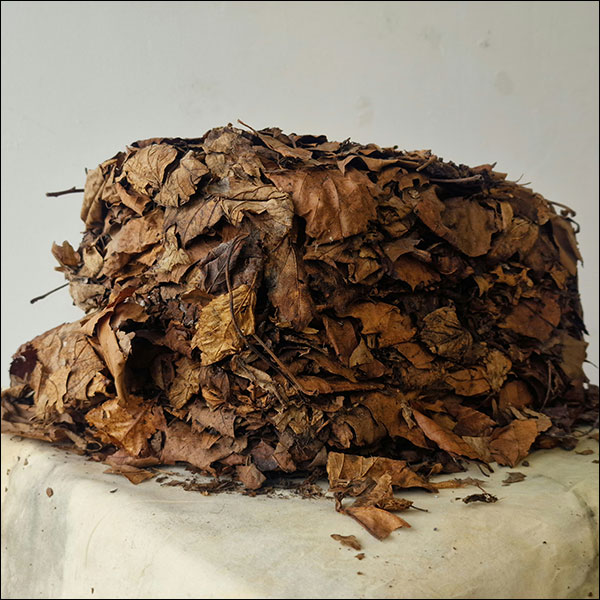 A pile of leaves arranged together in a cohesive shape, resembling a tree stump.