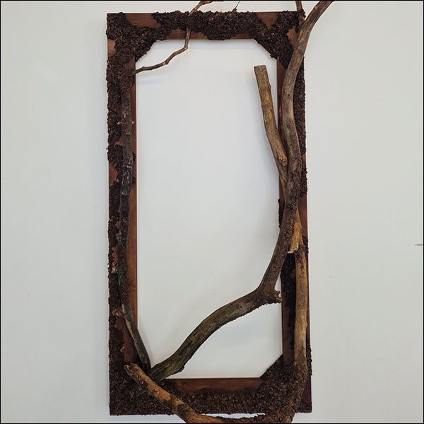 Sticks situated inside a square wooden picture frame as if growing naturally out of it.
