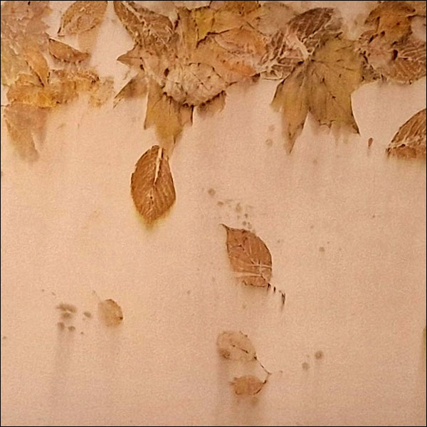 An array of leaves printed artistically onto a board.