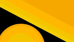 Disability is Everyones Business