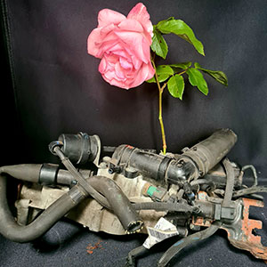 Image showing industrial piping, of various shapes and sizes on a black background with a pink rose growing upwards from the centre
