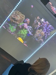 Person sitting in the cubbie