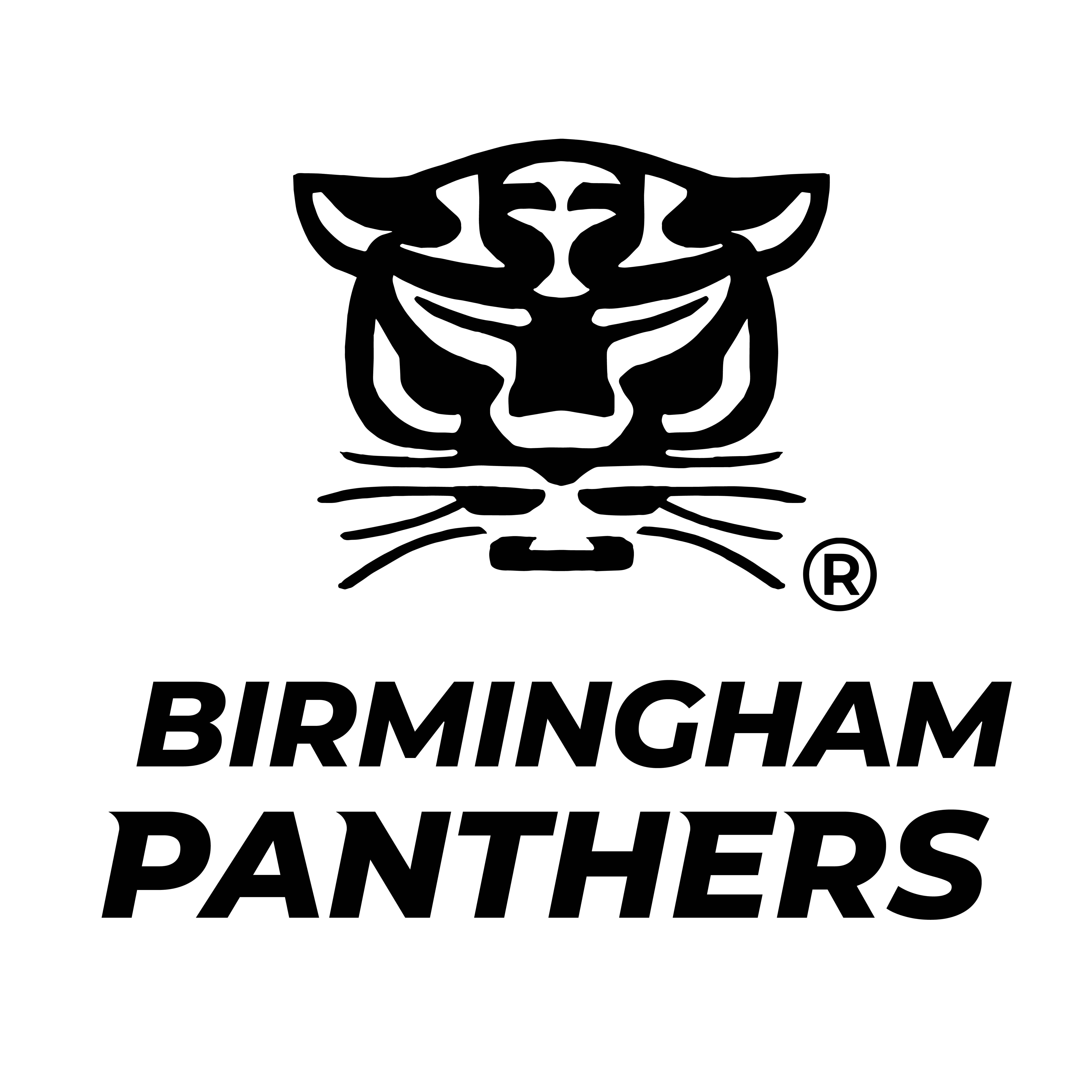 Logo for the Birmingham Panthers