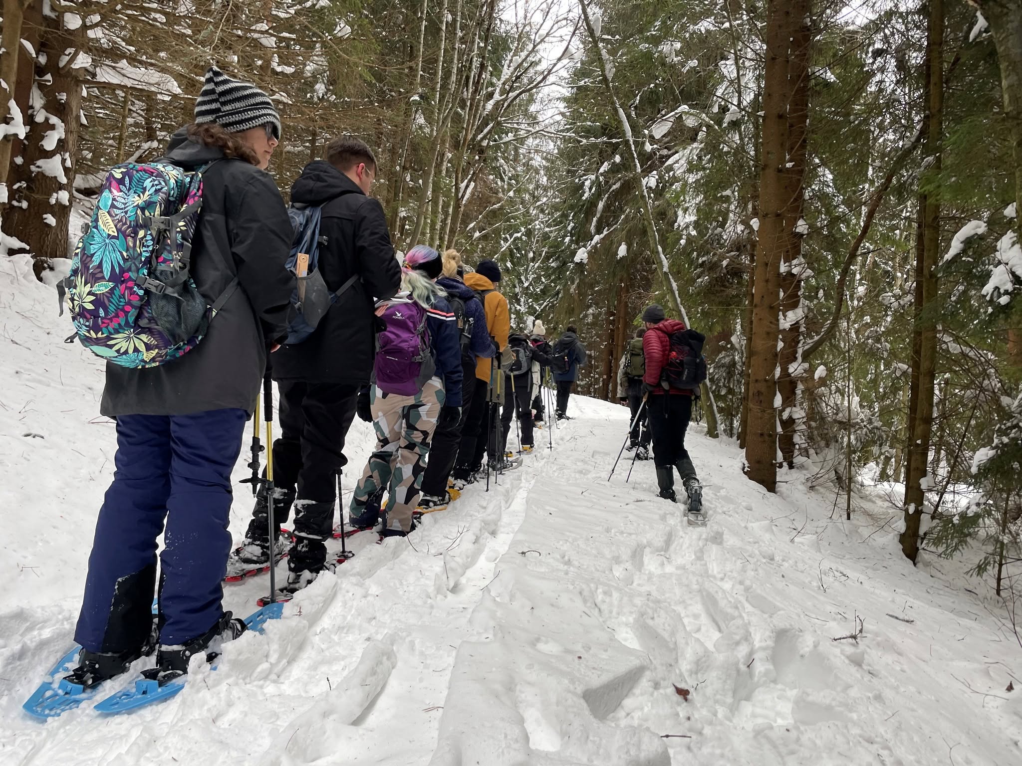 Students skiing through the snow in woods on an international field trip