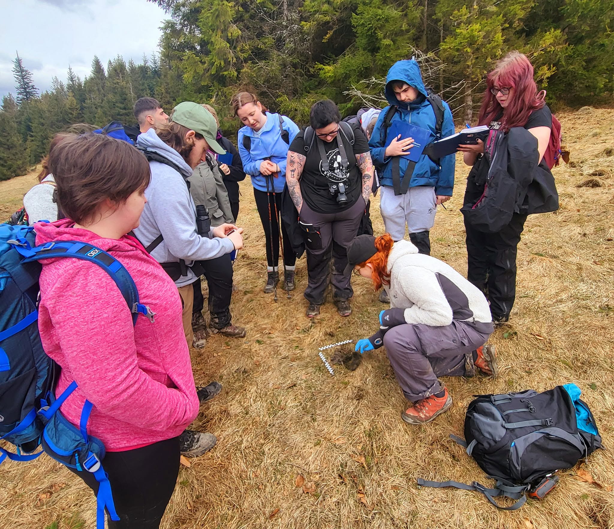 Students investigating scat on an international field trip