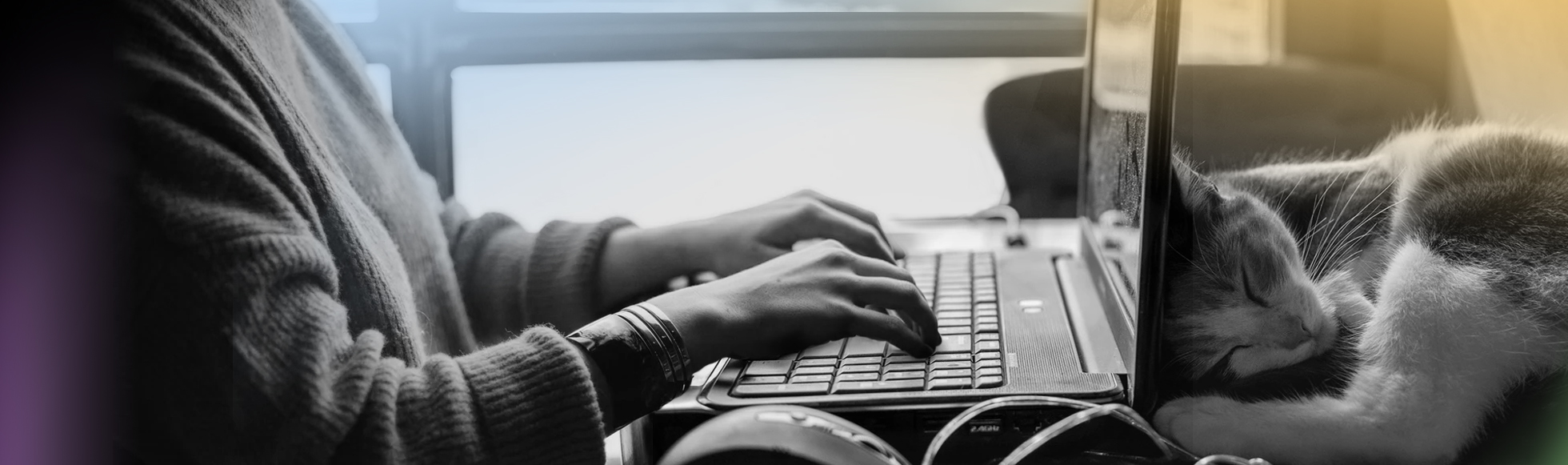 laptop typing 