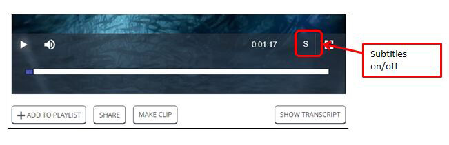 how to turn on subtitles 