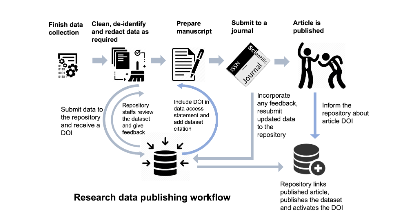 dataset publishing workflow diagram
