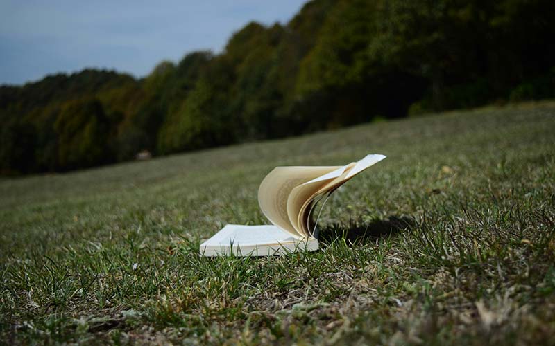 an open book in a field