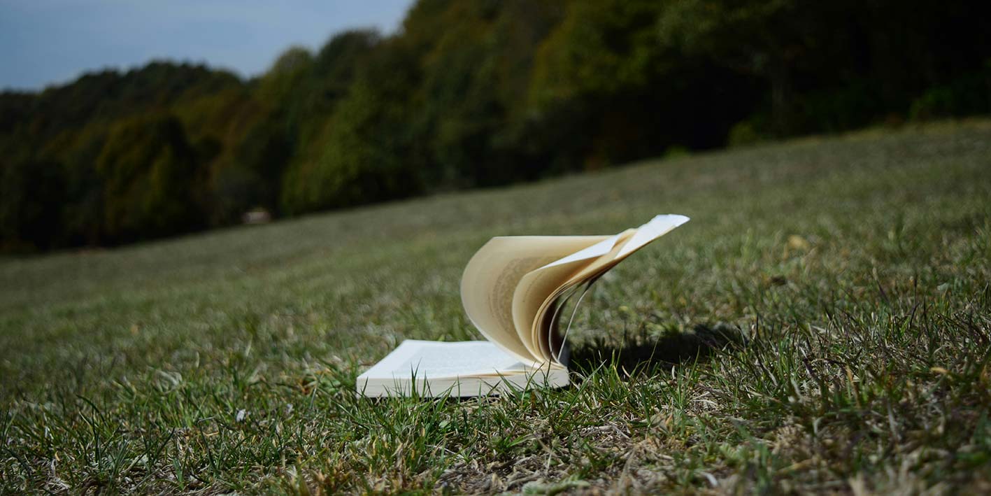 an open book in a field