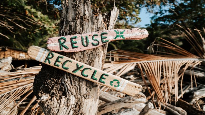 Image of a tree stump with two signs attached displaying the words 'reuse' and 'recycle'.