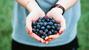 A person holding out a pile of berries in their hands