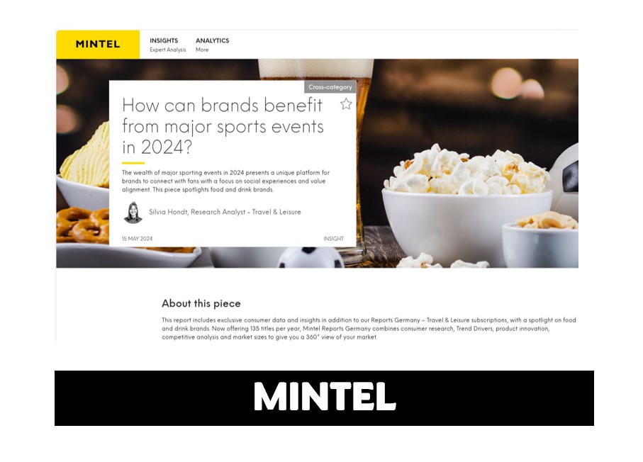Screenshot of database Mintel
