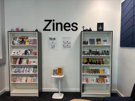 2 bookshelves with zines