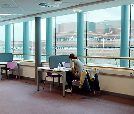 a student studying independently against large window backdrop