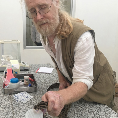 Profile photo of University of Wolverhampton alum Mark O'Shea. Mark is wearing a white shirt with a green jacket. He is holding a snake that is biting into a small container.