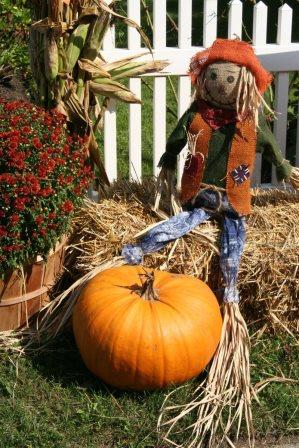 Family Harvest Fun Day 2017