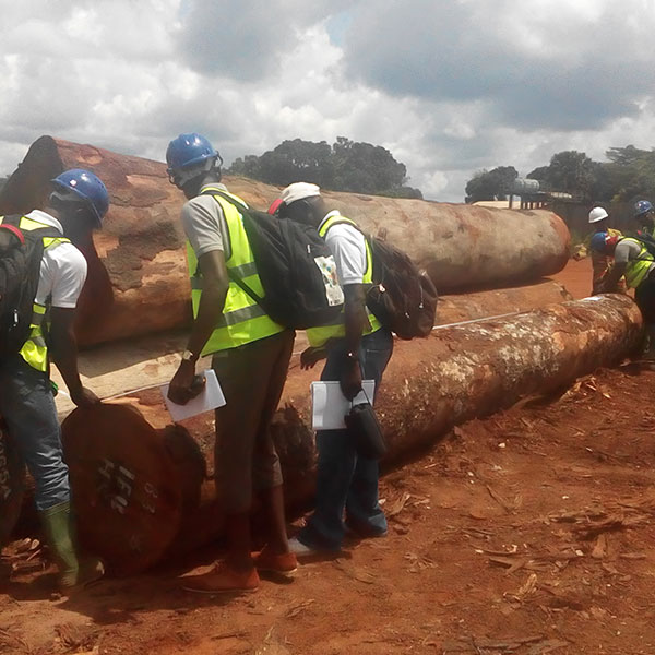 congo-basin