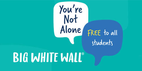Take a Look Inside Big White Wall