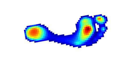 IOP Lecture - Physics Seminar - The Science & Art of Running Barefoot - 6 Nov