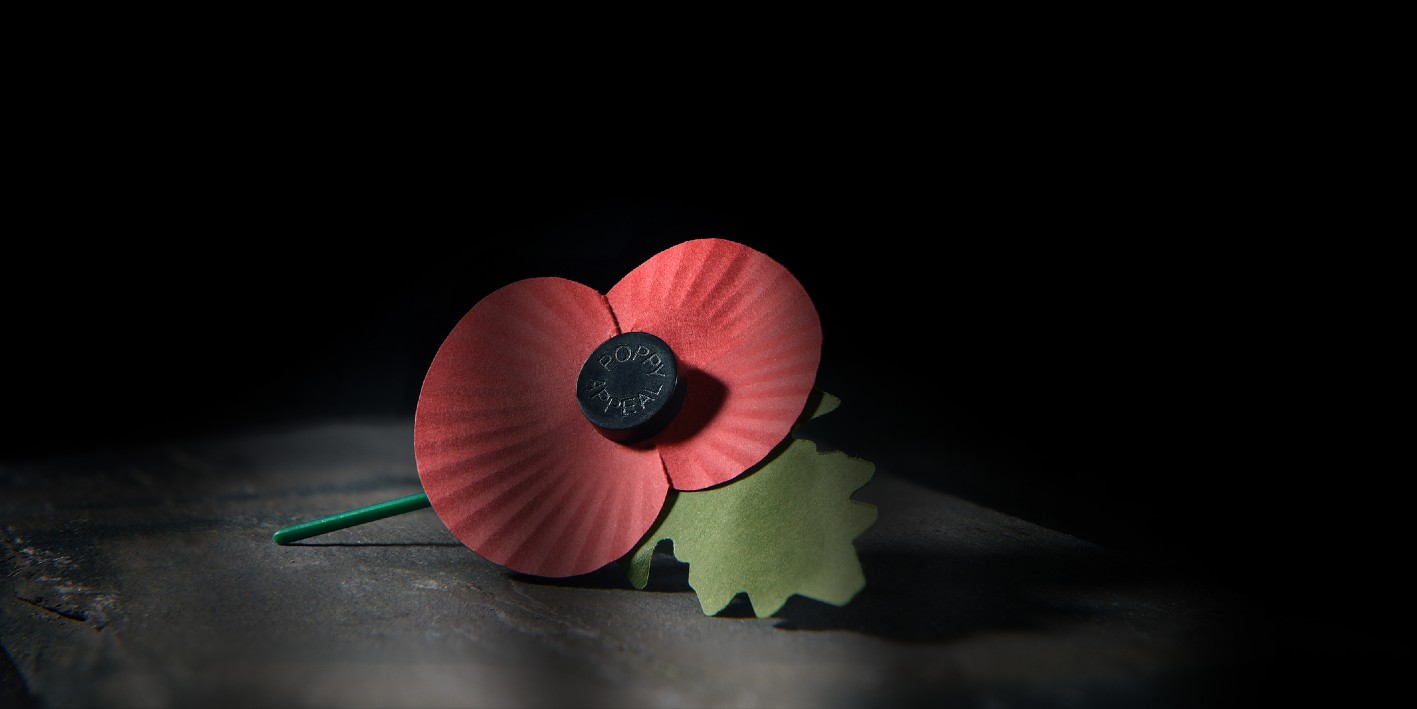 Remembrance_day_teaser