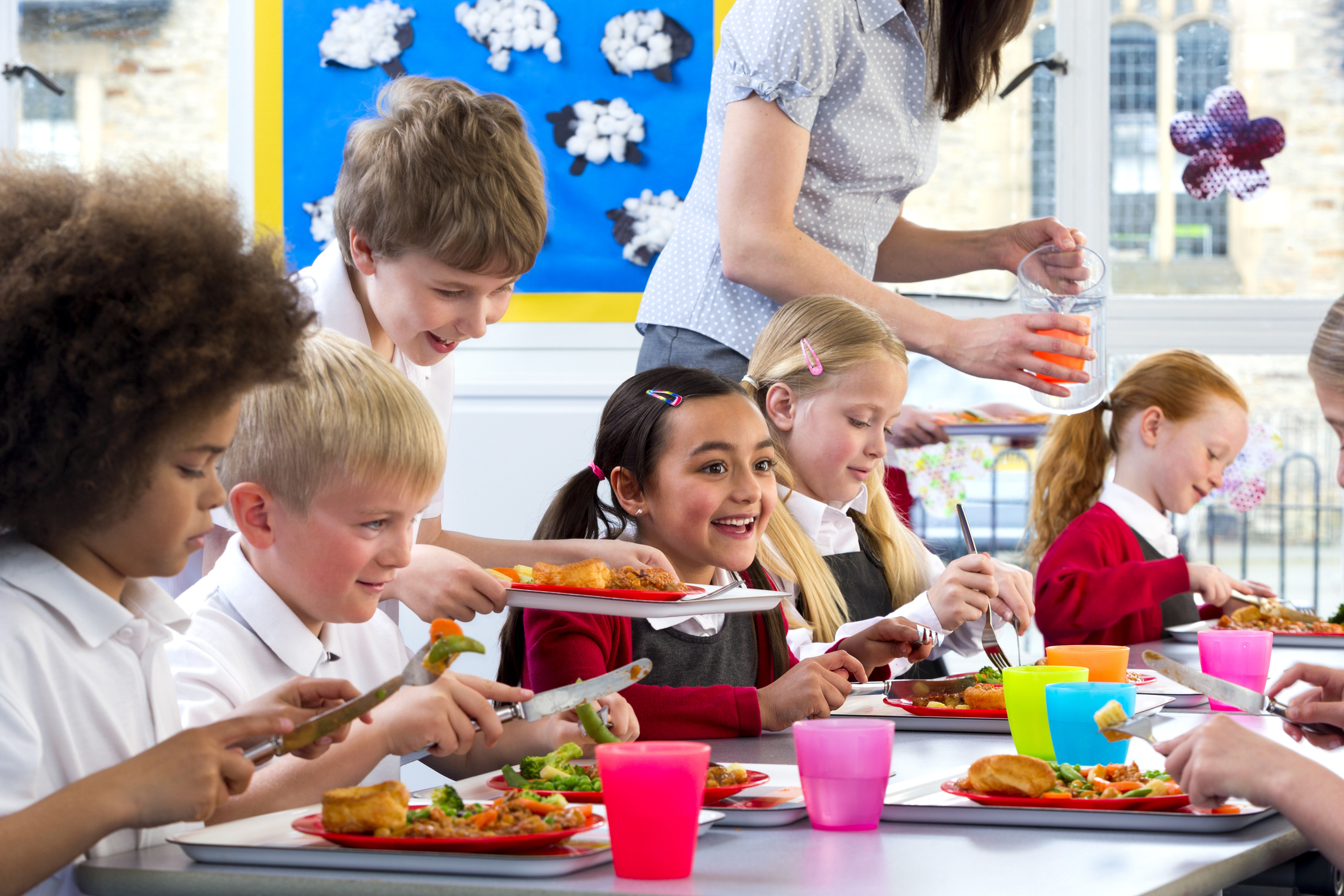 school_meals_main