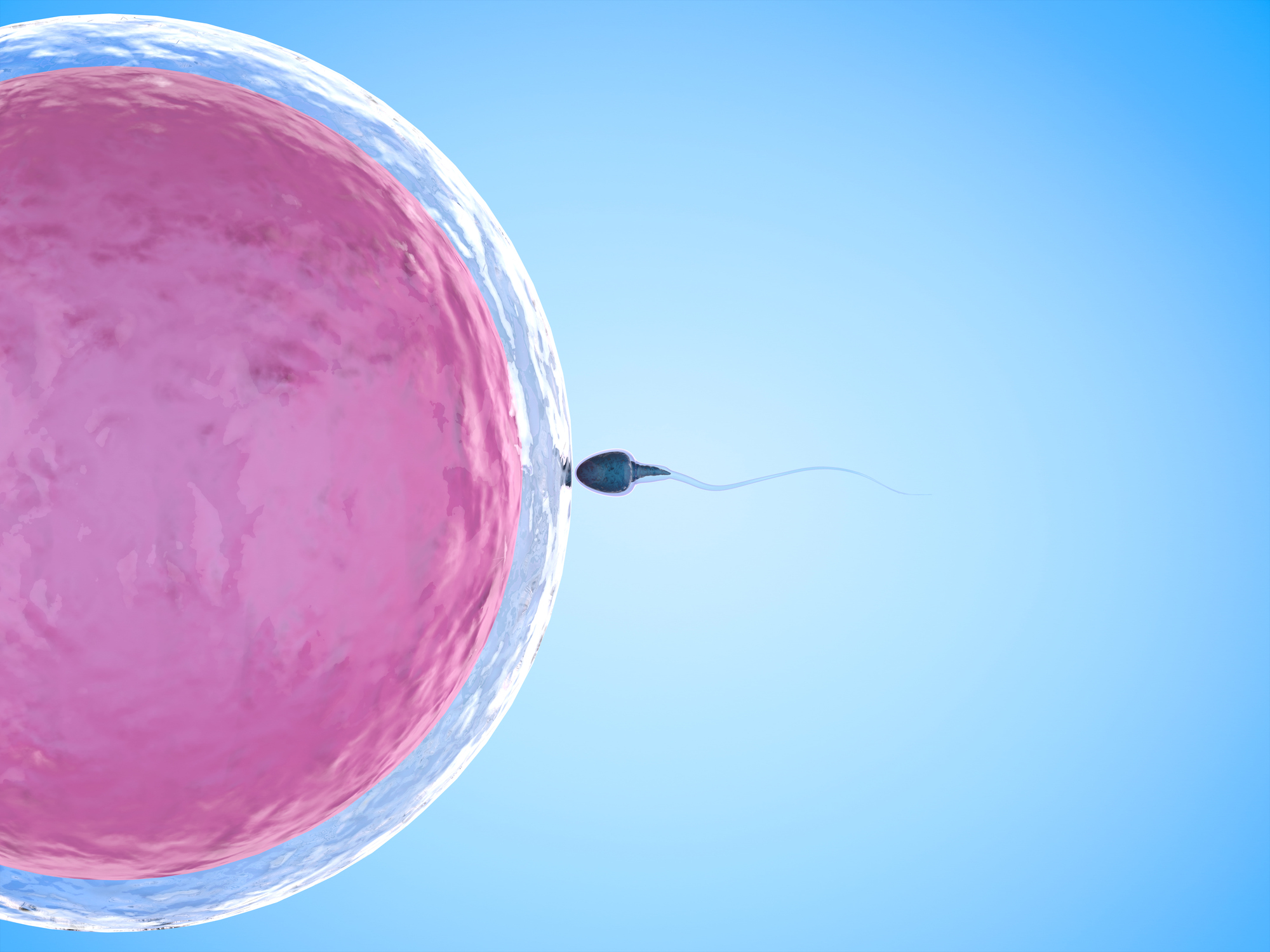 male_pill_main