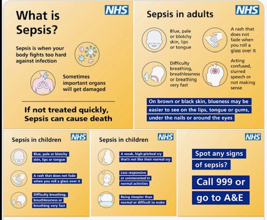 Sepsis know the signs info graphic