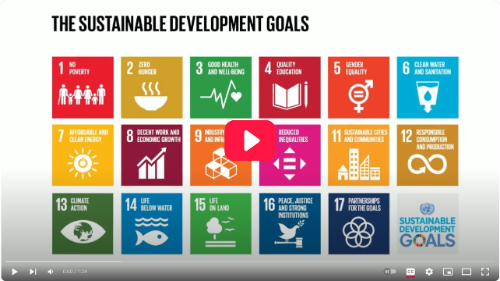 Sustainable development goals video thumbnail