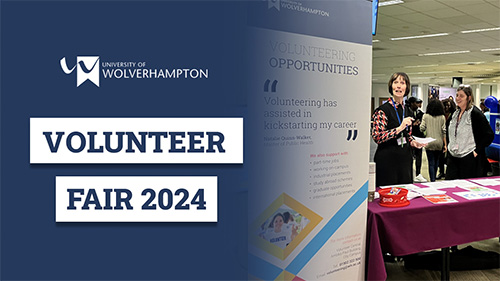 Volunteer Fair 2024 roundup article