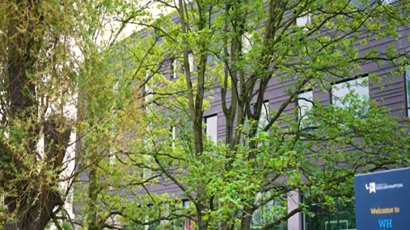 Trees with buildings behind