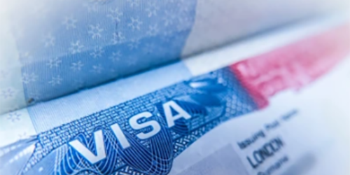 close up photograph of visa documentation