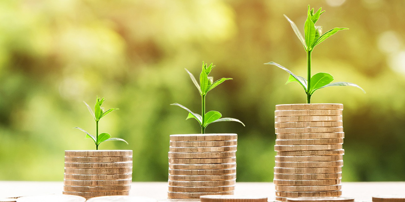 image representing financial wellbeing: piles of coins in increasing size with green shoots growing out of them
