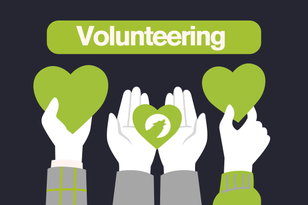 Make a Difference with Wolves SU: Explore Student Volunteering Opportunities!