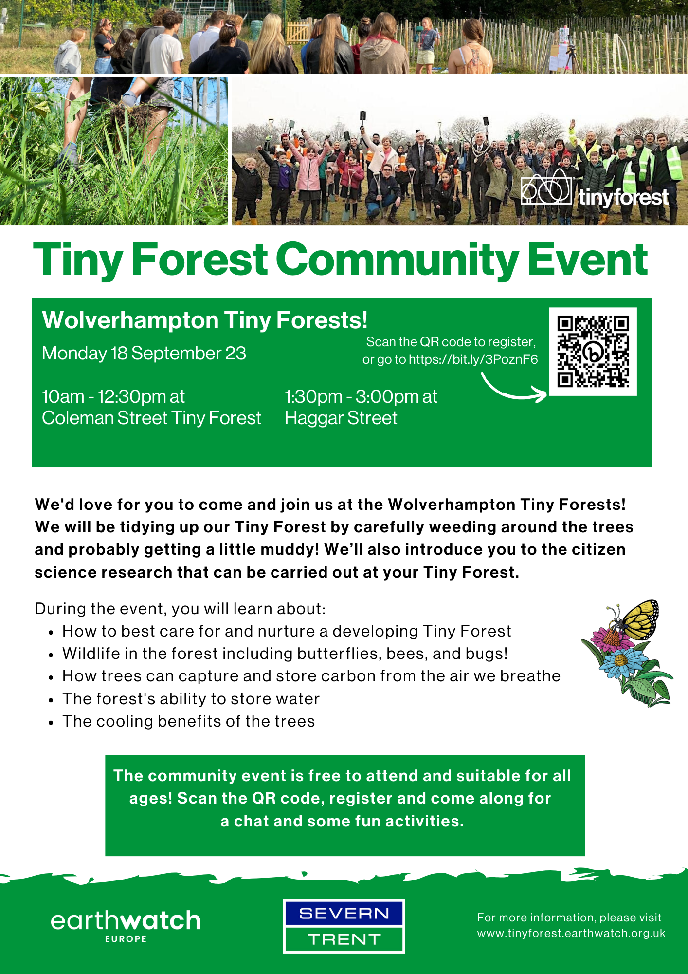 Tiny Forest Flyer full size