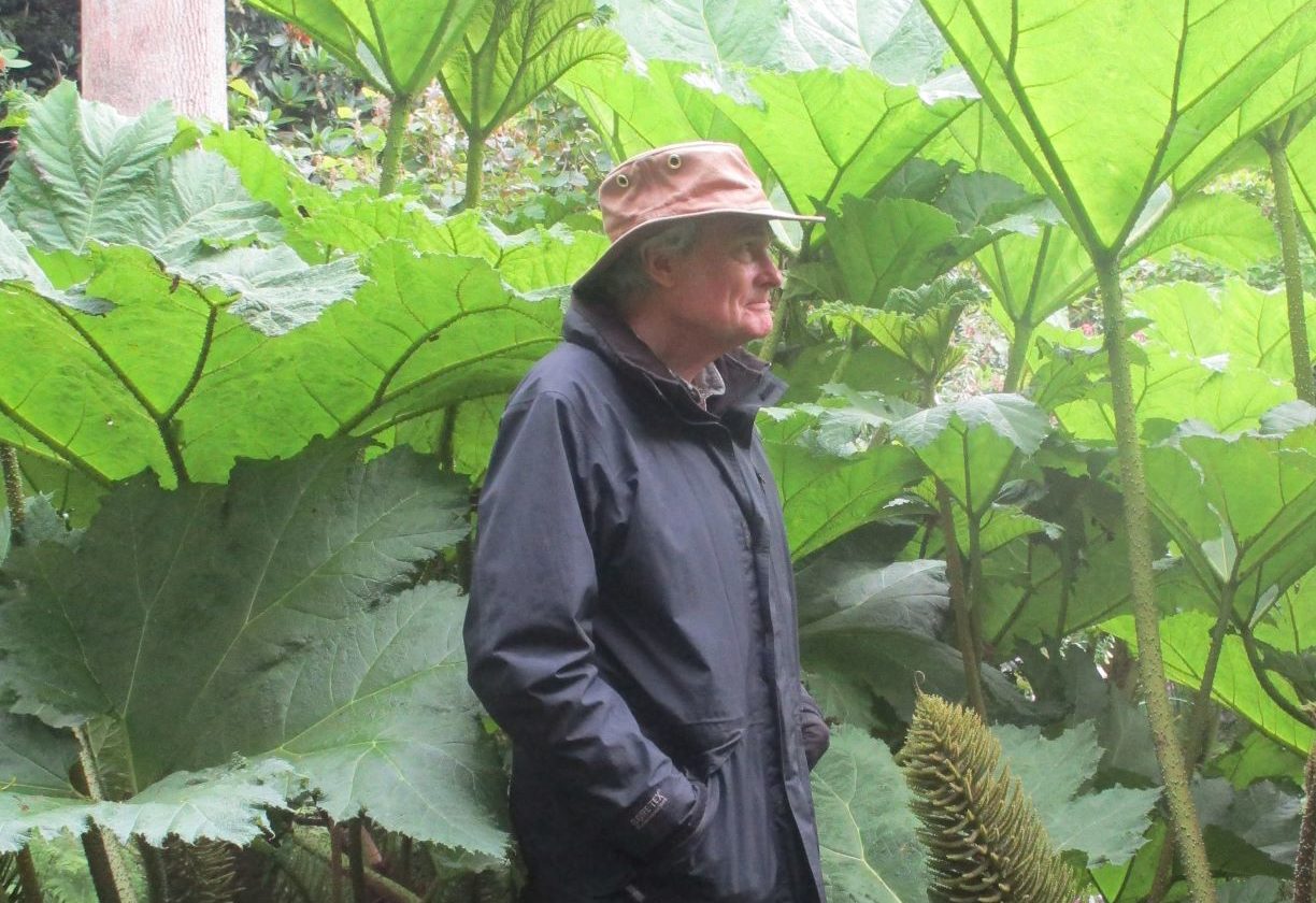 Header image of Professor Peter Lavender in a hat and raincoat standing against a backdrop of large green leaves