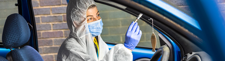 Forensic Science student in full forensic white clothing with white mask and blue gloves, dusting for fingerprints with a brush. They are sat in a crime-scene that is inside of a blue car.
