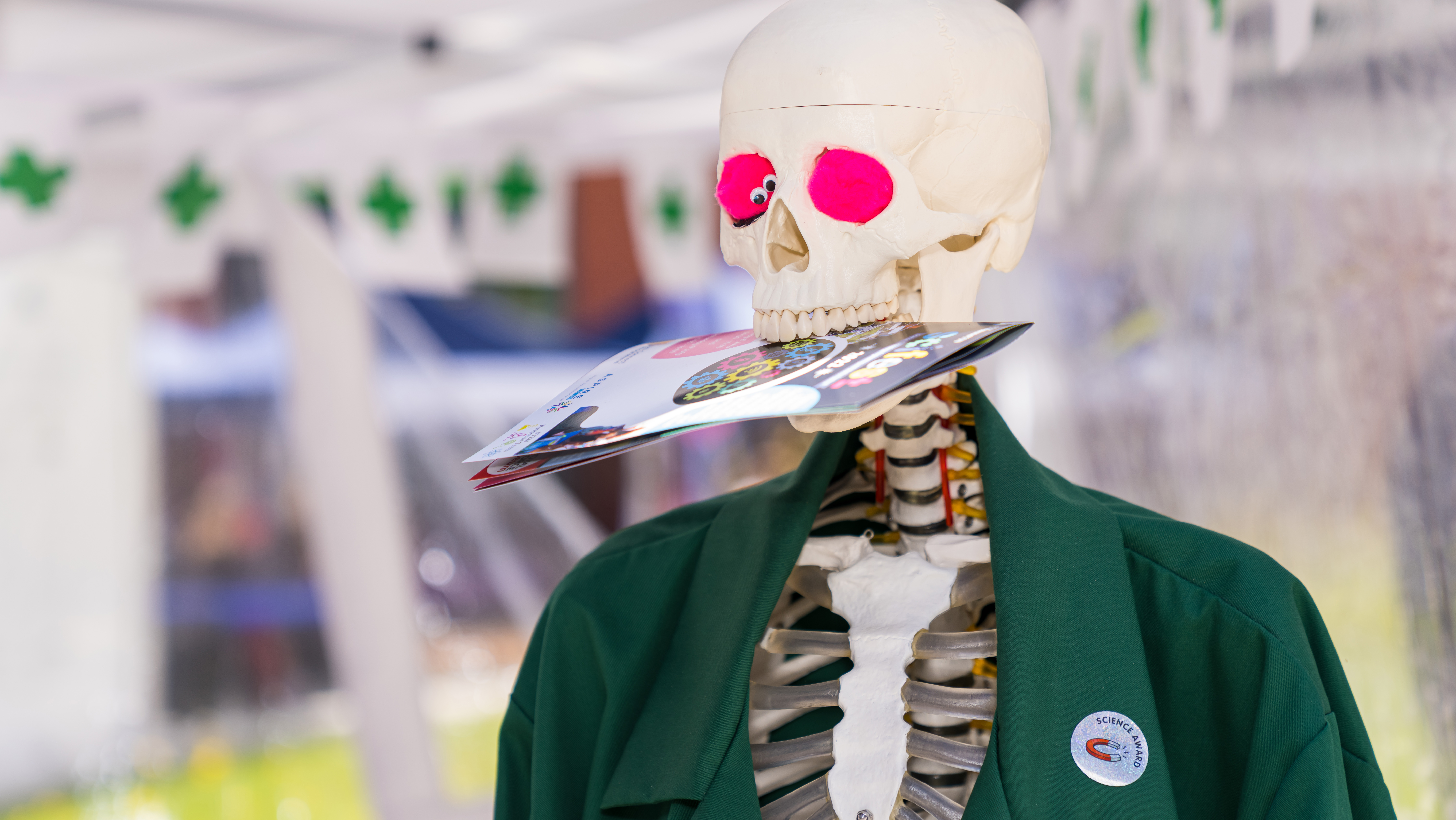 Skeleton in SciFest funny