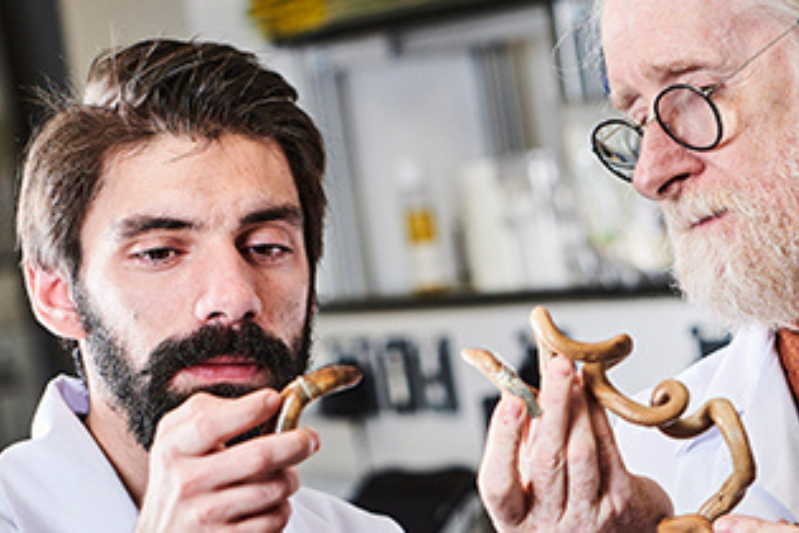 Two men looking at snakes