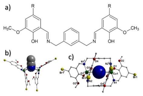 Graphic of a prototype molecule to be explored in a relevant PhD Project.