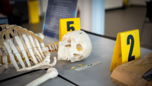 Crime scene with evidence numbers and skeleton.