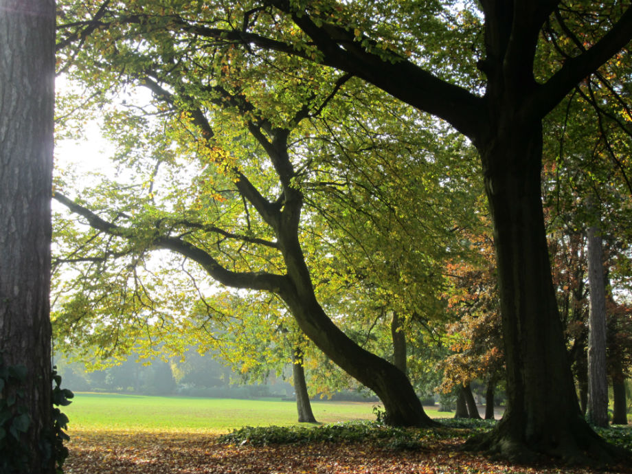 Autumnal West Park