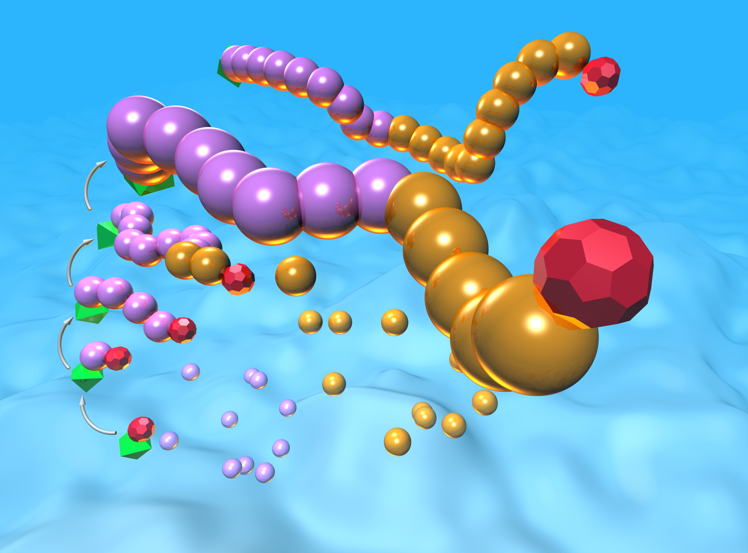 polymer