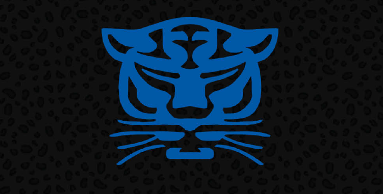 Birmingham Panthers Logo